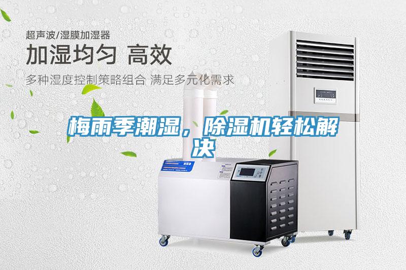 梅雨季潮濕，PICACG哔咔官网入口輕鬆解決