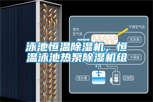 泳池恒溫PICACG哔咔官网入口，恒溫泳池熱泵PICACG哔咔官网入口組