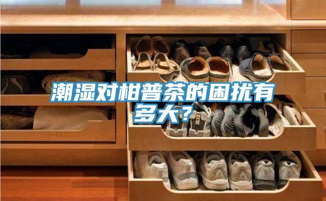 潮濕對柑普茶的困擾有多大？