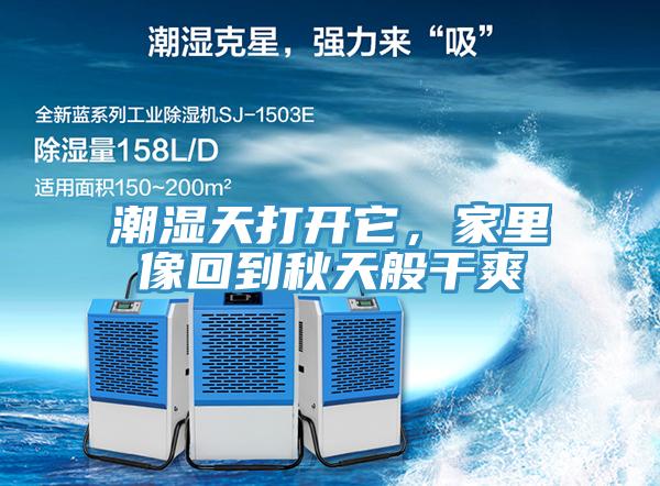 潮濕天打開它，家裏像回到秋天般幹爽