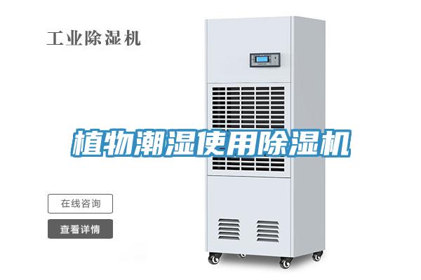 植物潮濕使用PICACG哔咔官网入口