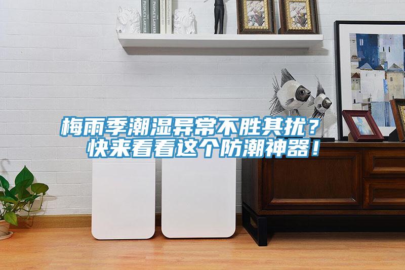 梅雨季潮濕異常不勝其擾？ 快來看看這個防潮神器！
