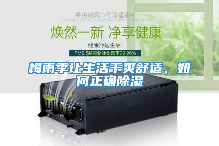 梅雨季讓生活幹爽舒適，如何正確除濕