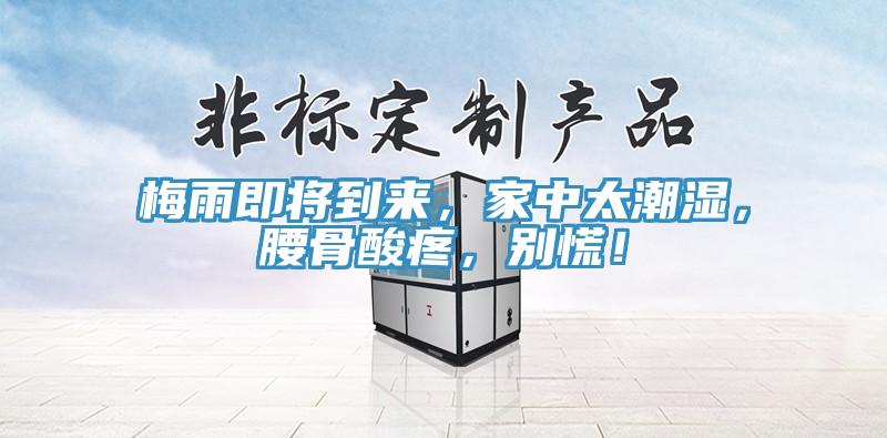 梅雨即將到來，家中太潮濕，腰骨酸疼，別慌！