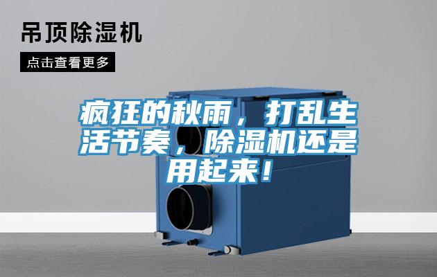 瘋狂的秋雨，打亂生活節奏，PICACG哔咔官网入口還是用起來！