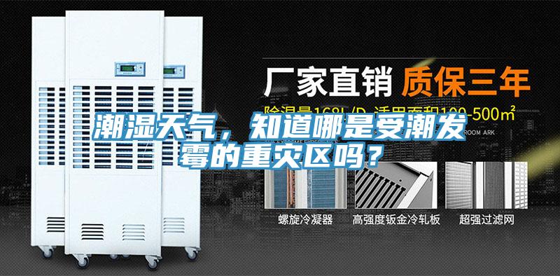 潮濕天氣，知道哪是受潮發黴的重災區嗎？