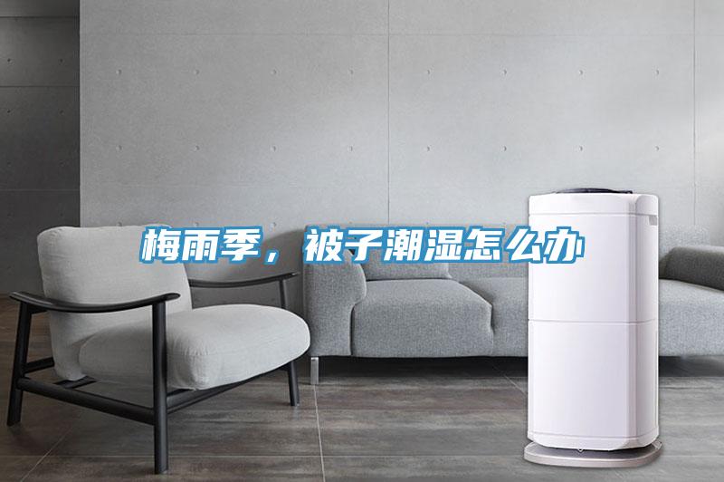 梅雨季，被子潮濕怎麽辦