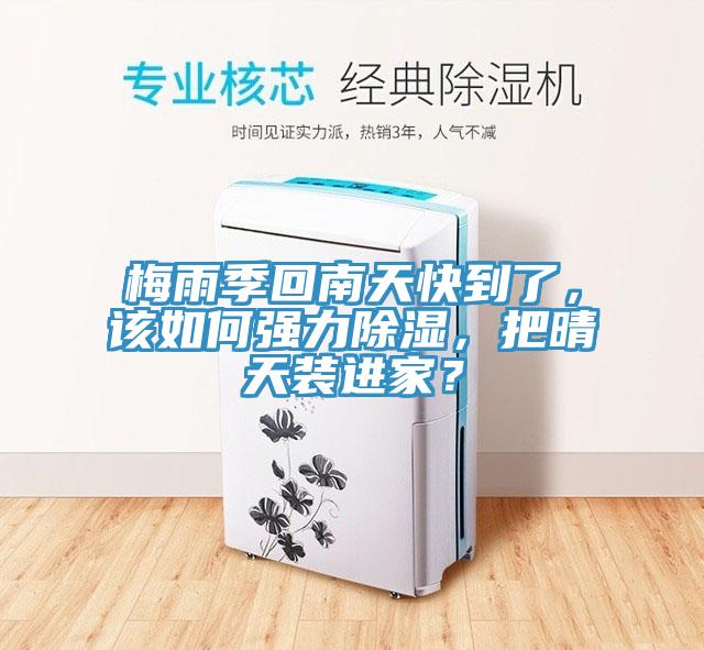 梅雨季回南天快到了，該如何強力除濕，把晴天裝進家？