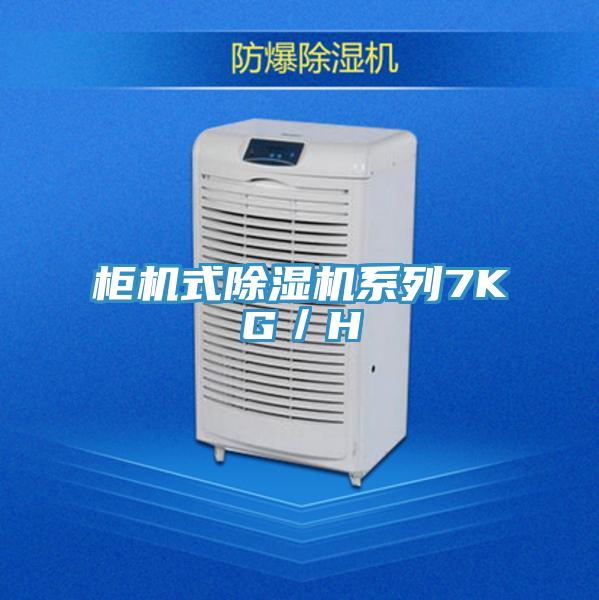 櫃機式PICACG哔咔官网入口係列7KG/H