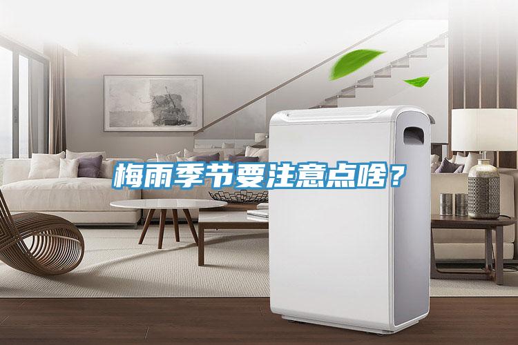 梅雨季節要注意點啥？