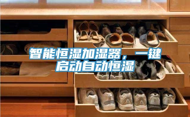 智能恒濕加濕器，一鍵啟動自動恒濕