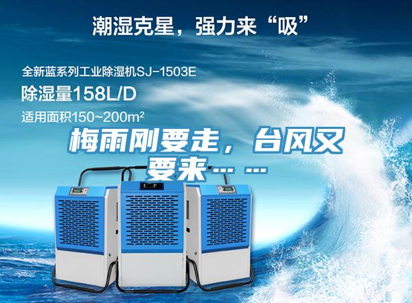 梅雨剛要走，台風又要來……