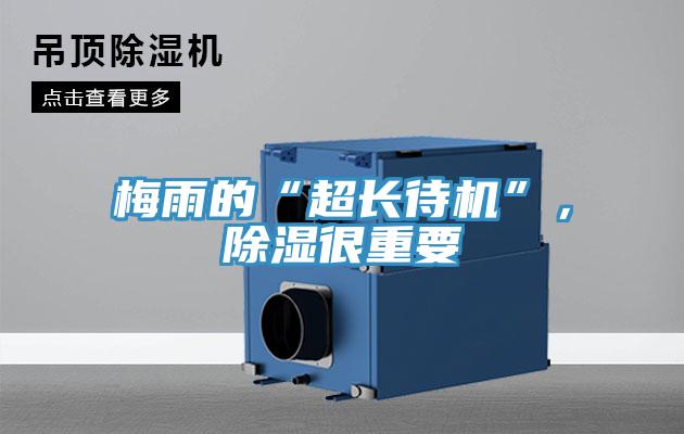 梅雨的“超長待機”，除濕很重要