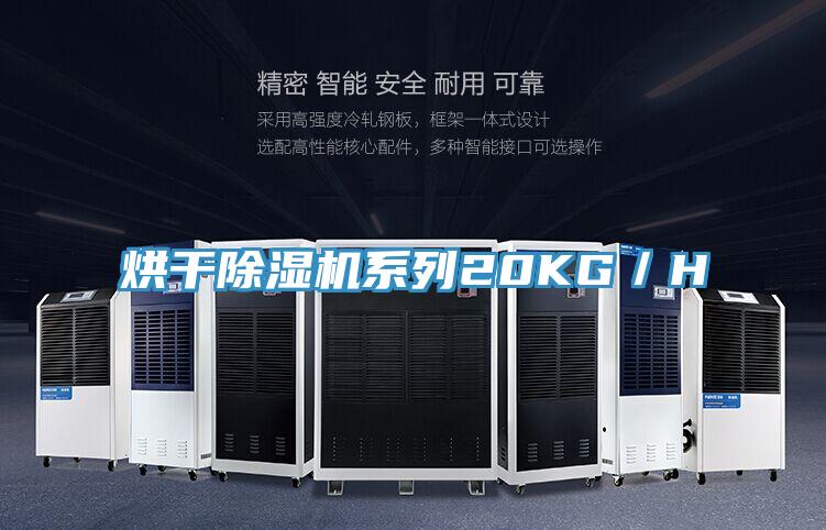 烘幹PICACG哔咔官网入口係列20KG／H