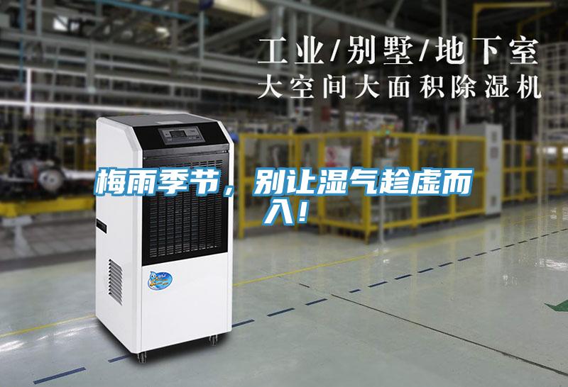 梅雨季節，別讓濕氣趁虛而入！