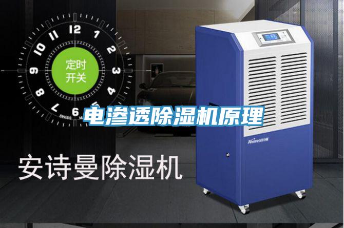 電滲透PICACG哔咔官网入口原理