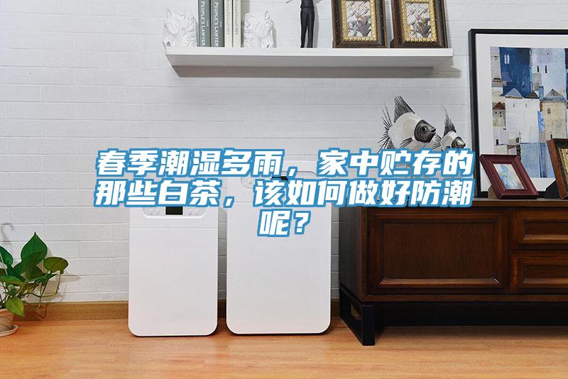 春季潮濕多雨，家中貯存的那些白茶，該如何做好防潮呢？