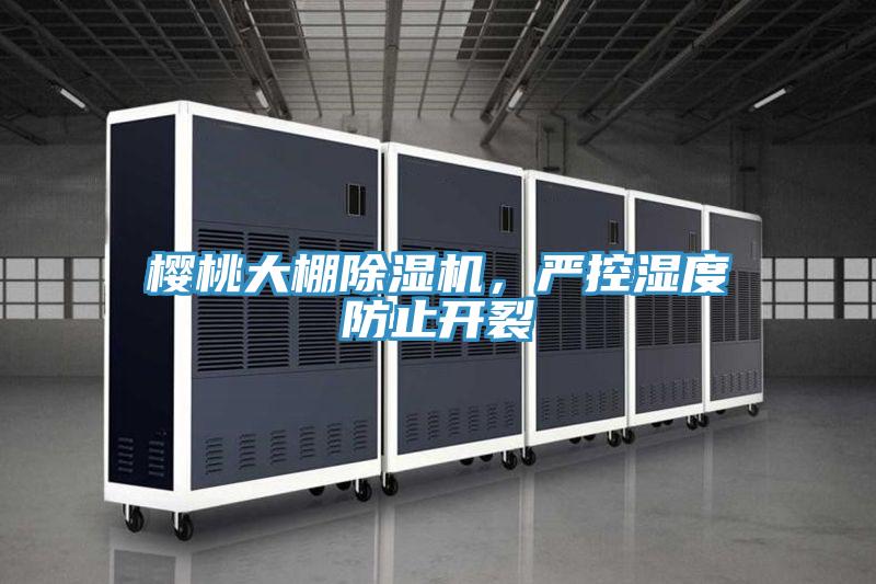 櫻桃大棚PICACG哔咔官网入口，嚴控濕度防止開裂