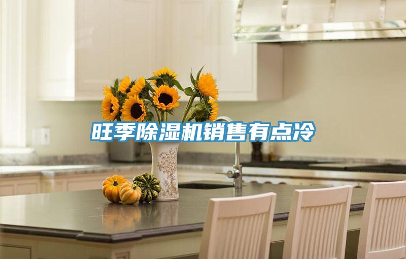 旺季PICACG哔咔官网入口銷售有點冷