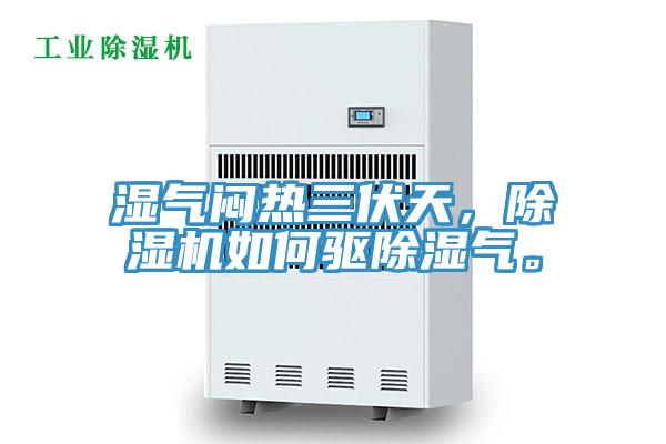 濕氣悶熱三伏天，PICACG哔咔官网入口如何驅除濕氣。