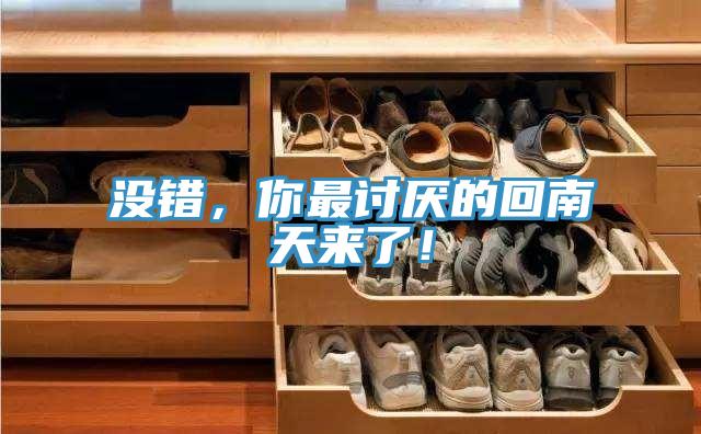 沒錯，你最討厭的回南天來了！