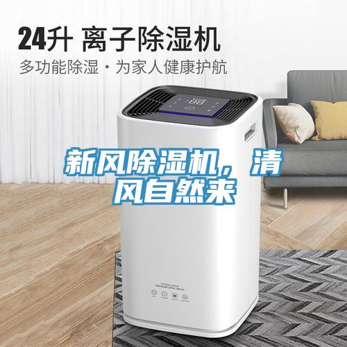 新風PICACG哔咔官网入口，清風自然來