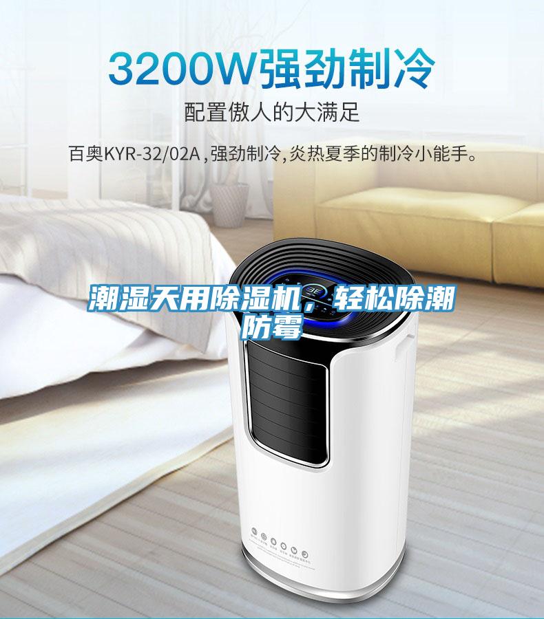 潮濕天用PICACG哔咔官网入口，輕鬆除潮防黴