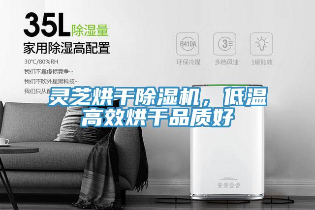 靈芝烘幹PICACG哔咔官网入口，低溫高效烘幹品質好