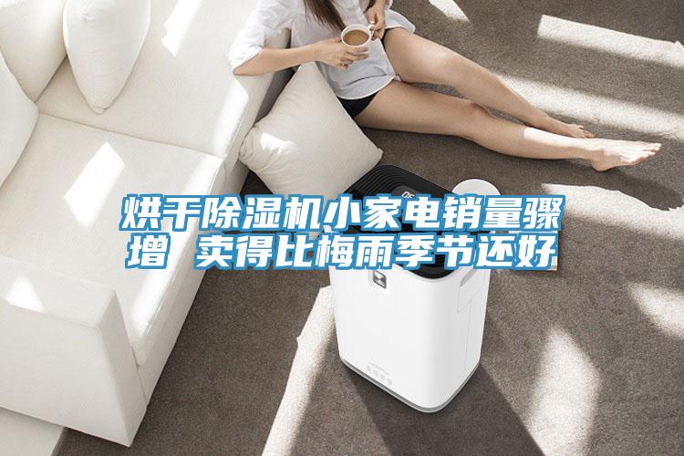 烘幹PICACG哔咔官网入口小家電銷量驟增 賣得比梅雨季節還好