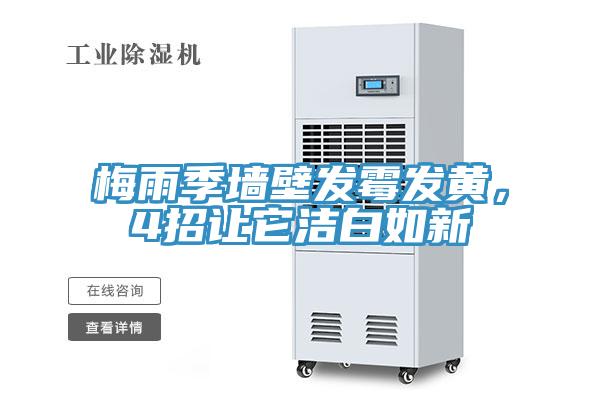 梅雨季牆壁發黴發黃，4招讓它潔白如新