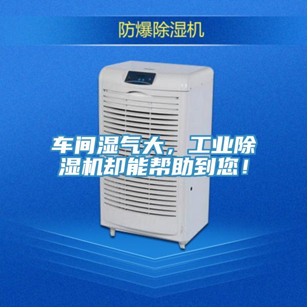 車間濕氣大，工業PICACG哔咔官网入口卻能幫助到您！