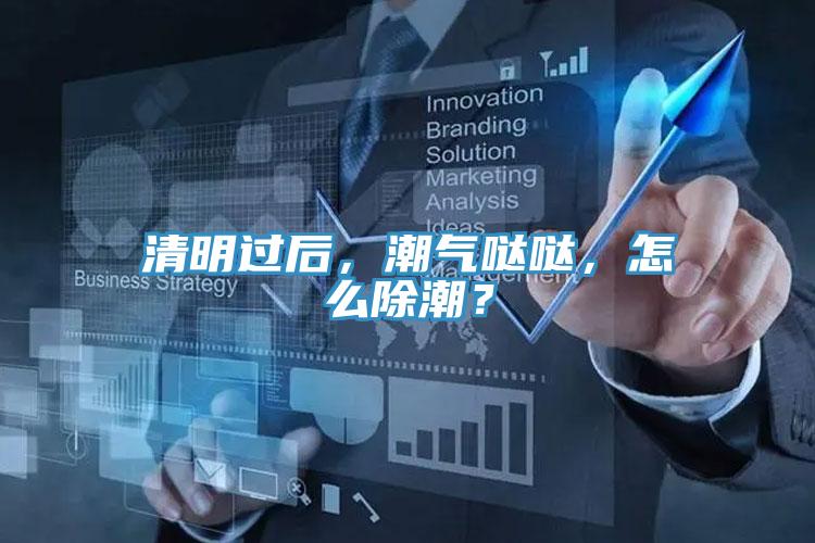 清明過後，潮氣噠噠，怎麽除潮？