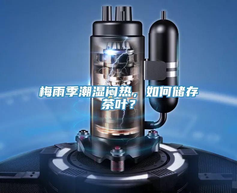 梅雨季潮濕悶熱，如何儲存茶葉？