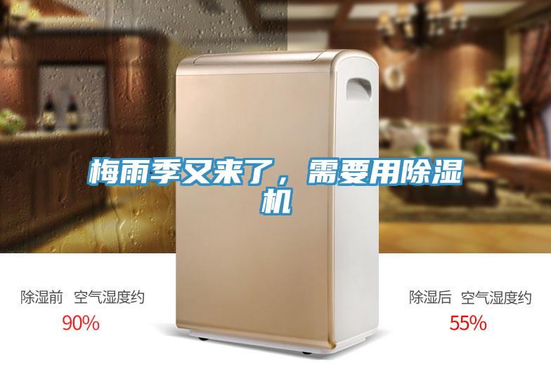 梅雨季又來了，需要用PICACG哔咔官网入口