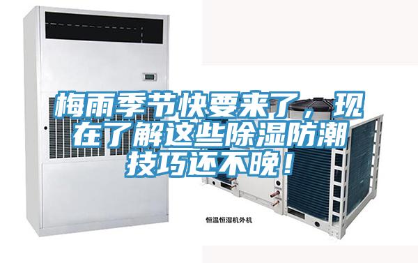 梅雨季節快要來了，現在了解這些除濕防潮技巧還不晚！