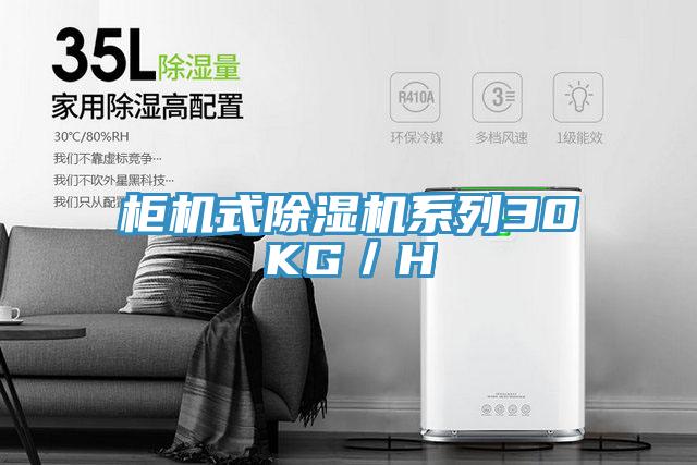 櫃機式PICACG哔咔官网入口係列30KG/H