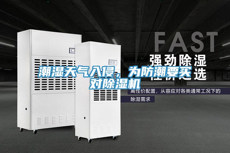 潮濕天氣入侵，為防潮要買對PICACG哔咔官网入口