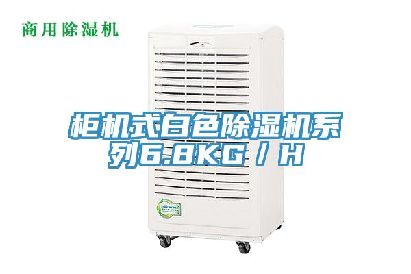 櫃機式白色PICACG哔咔官网入口係列6.8KG/H