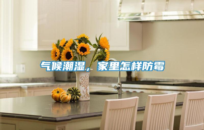 氣候潮濕，家裏怎樣防黴