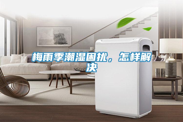 梅雨季潮濕困擾，怎樣解決