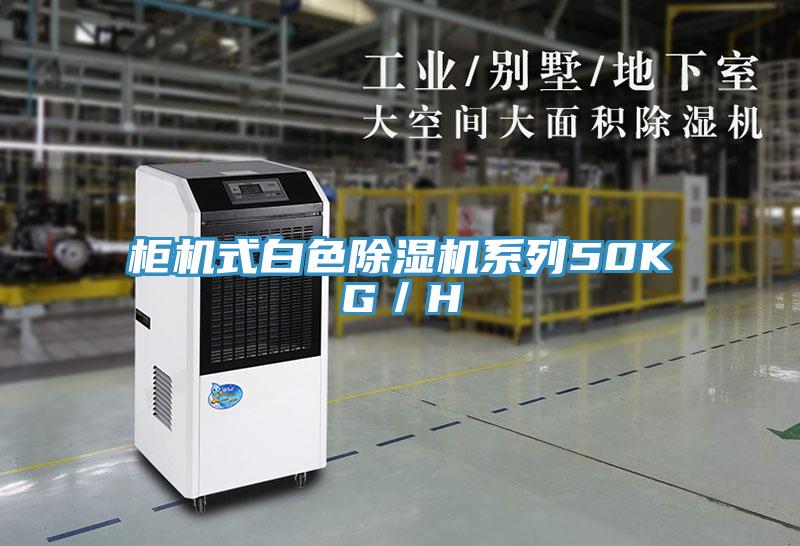櫃機式白色PICACG哔咔官网入口係列50KG/H