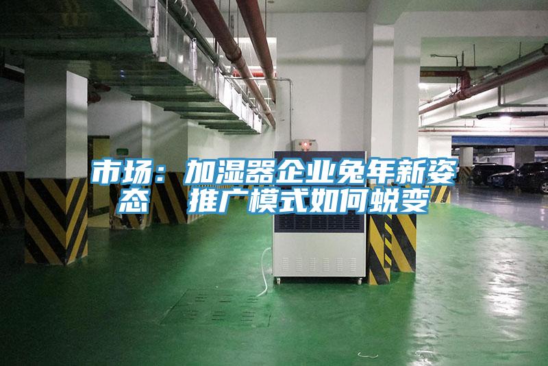 市場：加濕器企業兔年新姿態  推廣模式如何蛻變