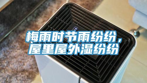 梅雨時節雨紛紛，屋裏屋外濕紛紛