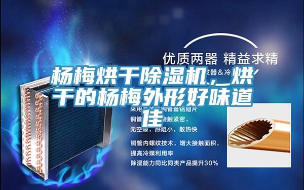 楊梅烘幹PICACG哔咔官网入口，烘幹的楊梅外形好味道佳