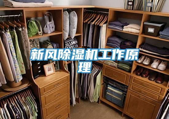 新風PICACG哔咔官网入口工作原理