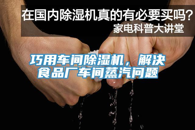 巧用車間PICACG哔咔官网入口，解決食品廠車間蒸汽問題