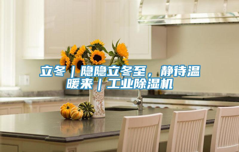 立冬｜隱隱立冬至，靜待溫暖來｜工業PICACG哔咔官网入口