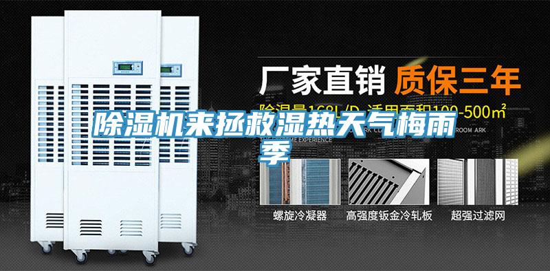 PICACG哔咔官网入口來拯救濕熱天氣梅雨季