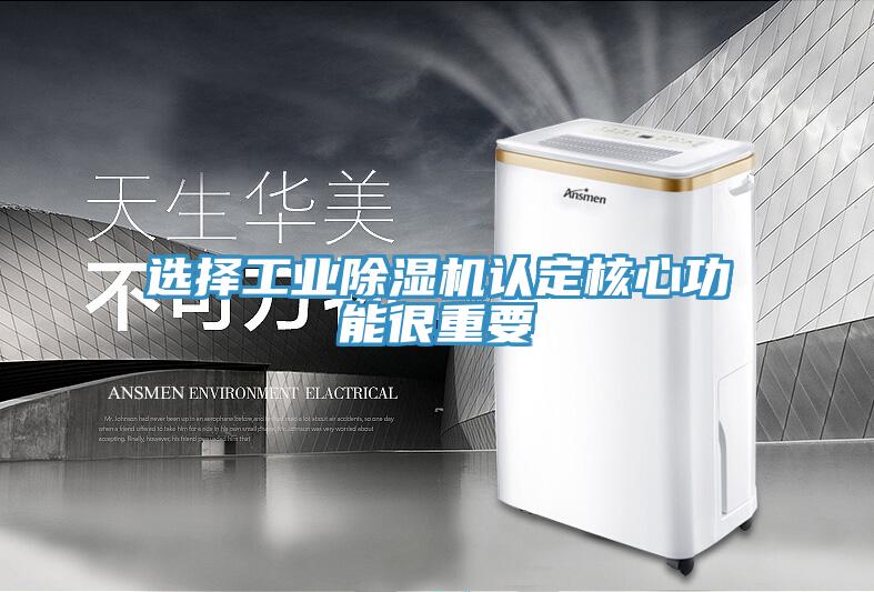 選擇工業PICACG哔咔官网入口認定核心功能很重要