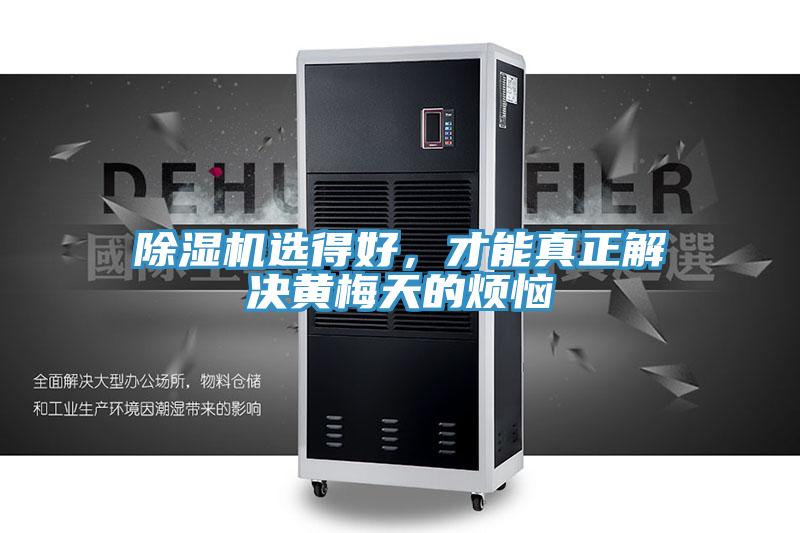 PICACG哔咔官网入口選得好，才能真正解決黃梅天的煩惱